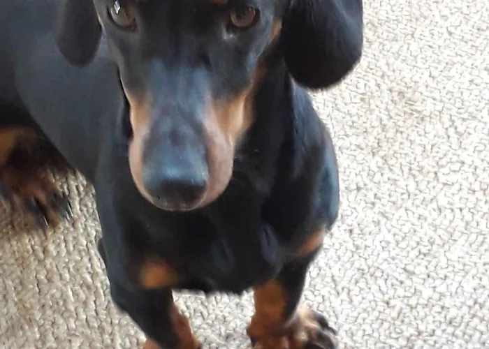 Kelemen * Abádszalók